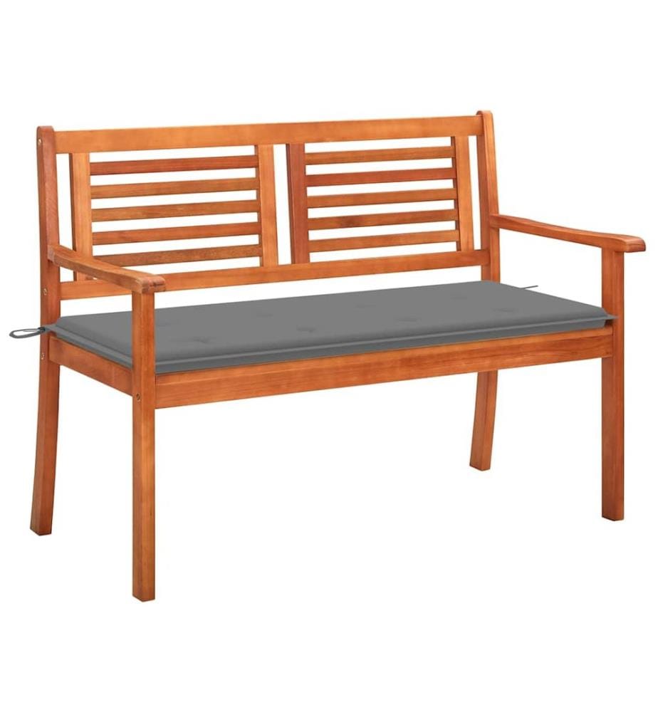 Banc de jardin 2 places avec coussin 120 cm Bois d'eucalyptus