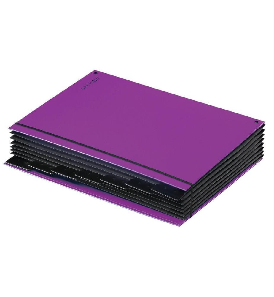 PAGNA - Classeur à compartiments A4 Trend Violet, 7 compartiments