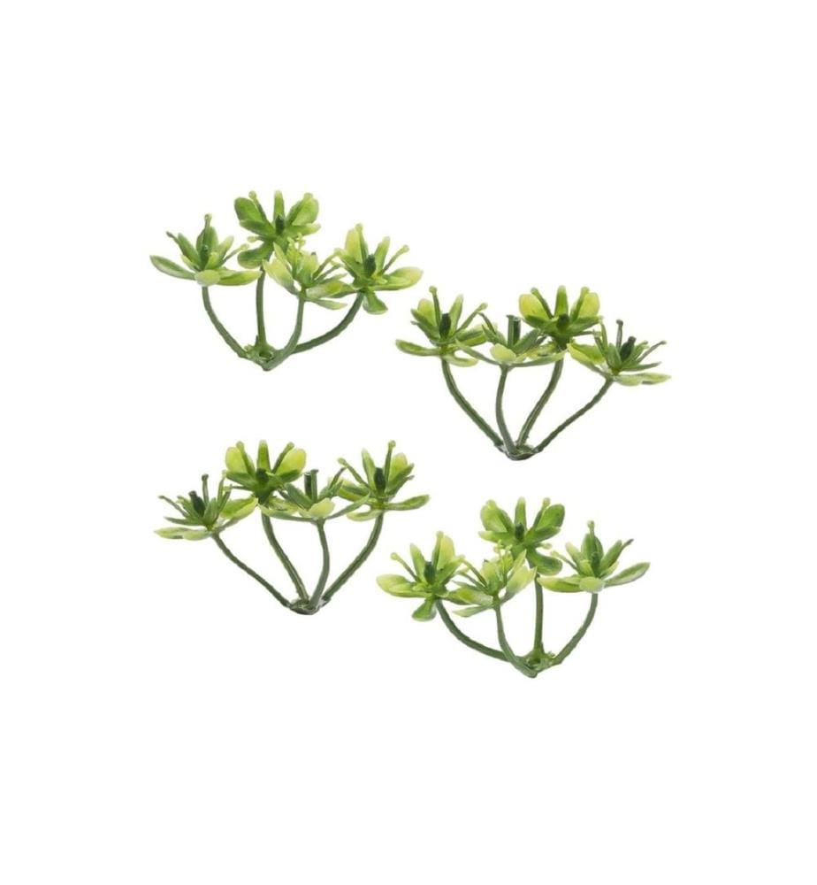 HOBBYFUN - Mini ustensiles Buchs I 3 cm, 6 pièces