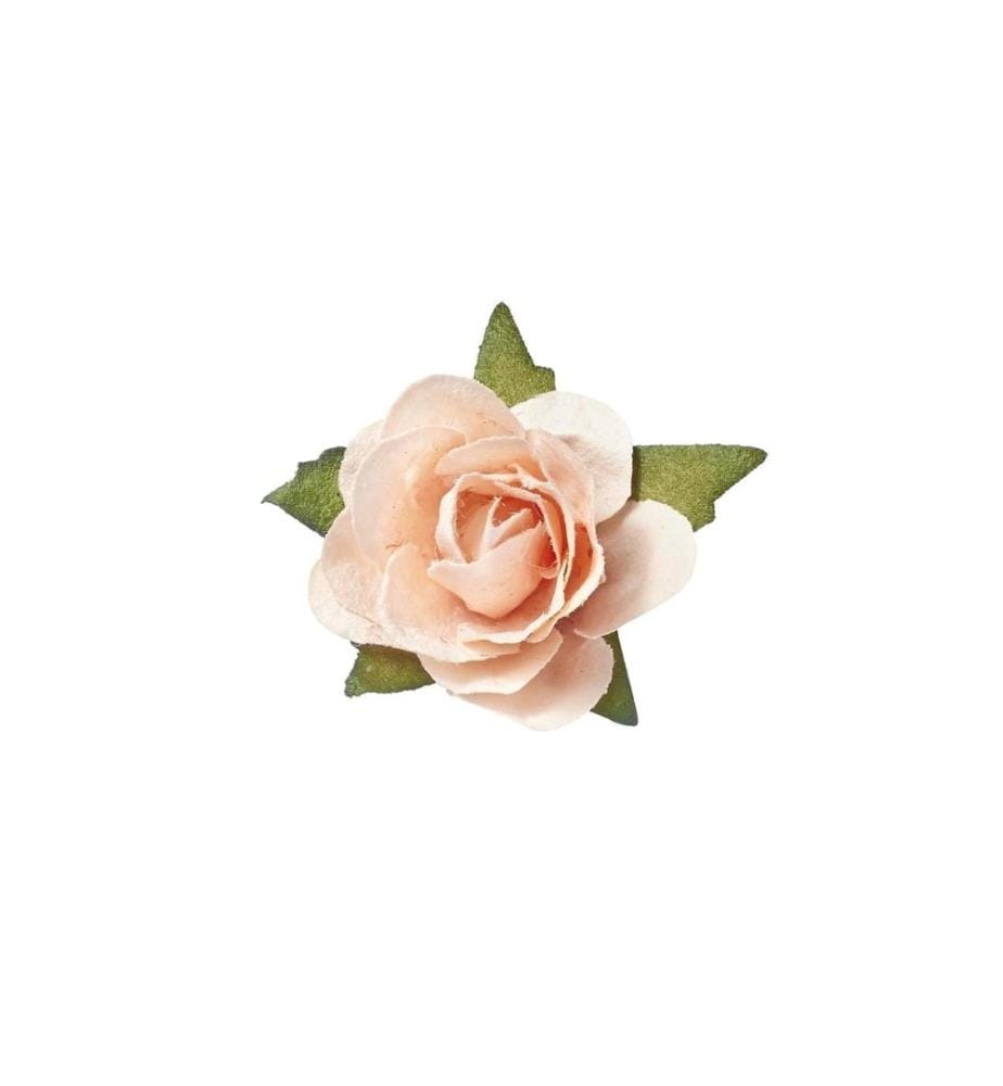 HOBBYFUN - Décoration à éparpiller Roses 20 pièces, abricot