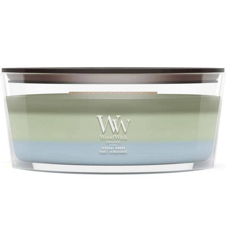 Woodwick - Bougie parfumée Verdant Woods Trilogy Ellipse