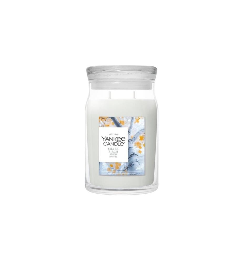 YANKEE CANDLE - Signature Bougie parfumée Silver Birch Signature Large Jar