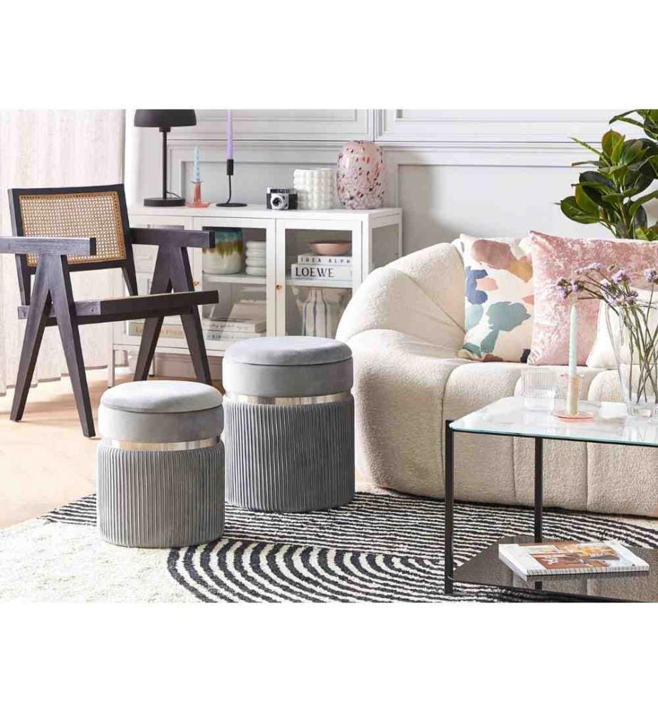 Lot de 2 poufs avec rangement CAMDENTON Velours Gris clair