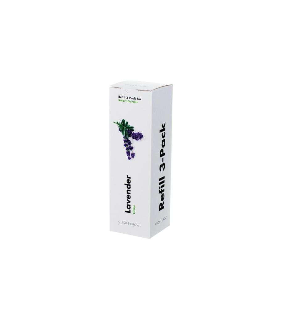 CLICK AND GROW - Semence lavande