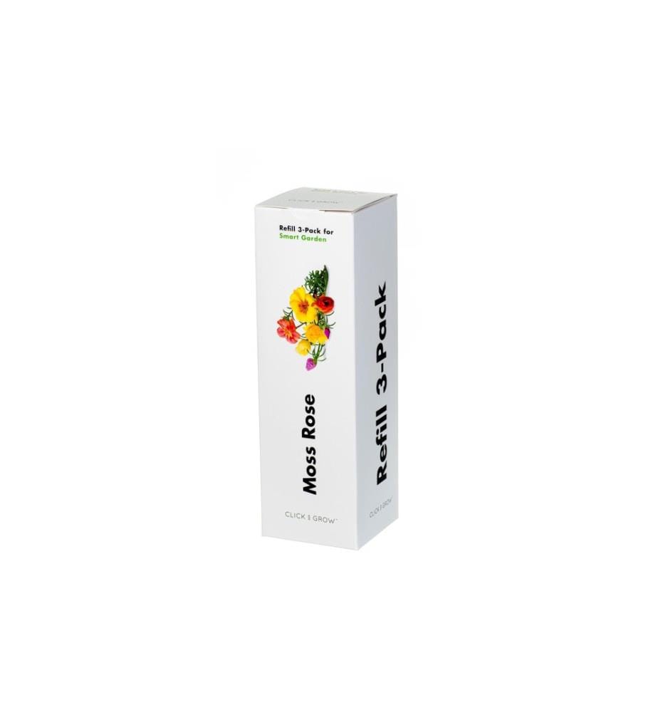CLICK AND GROW - Semence fleurons de pourpier