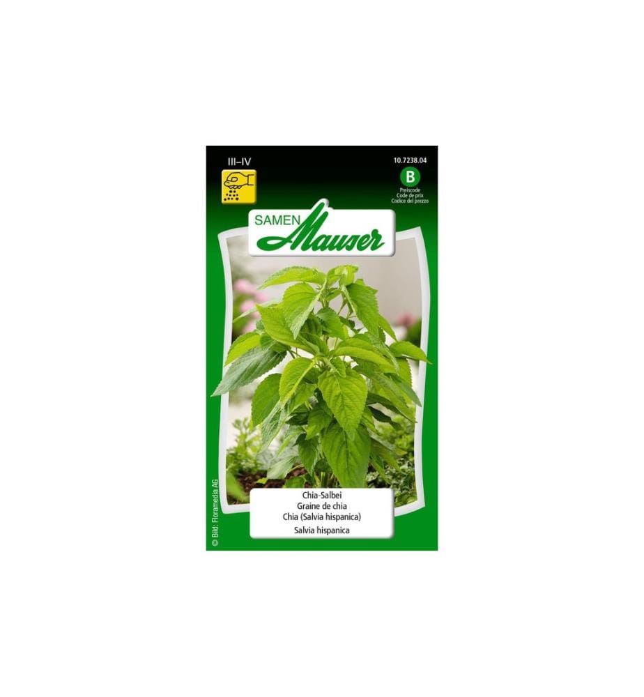 Samen Mauser - Semence chia sage