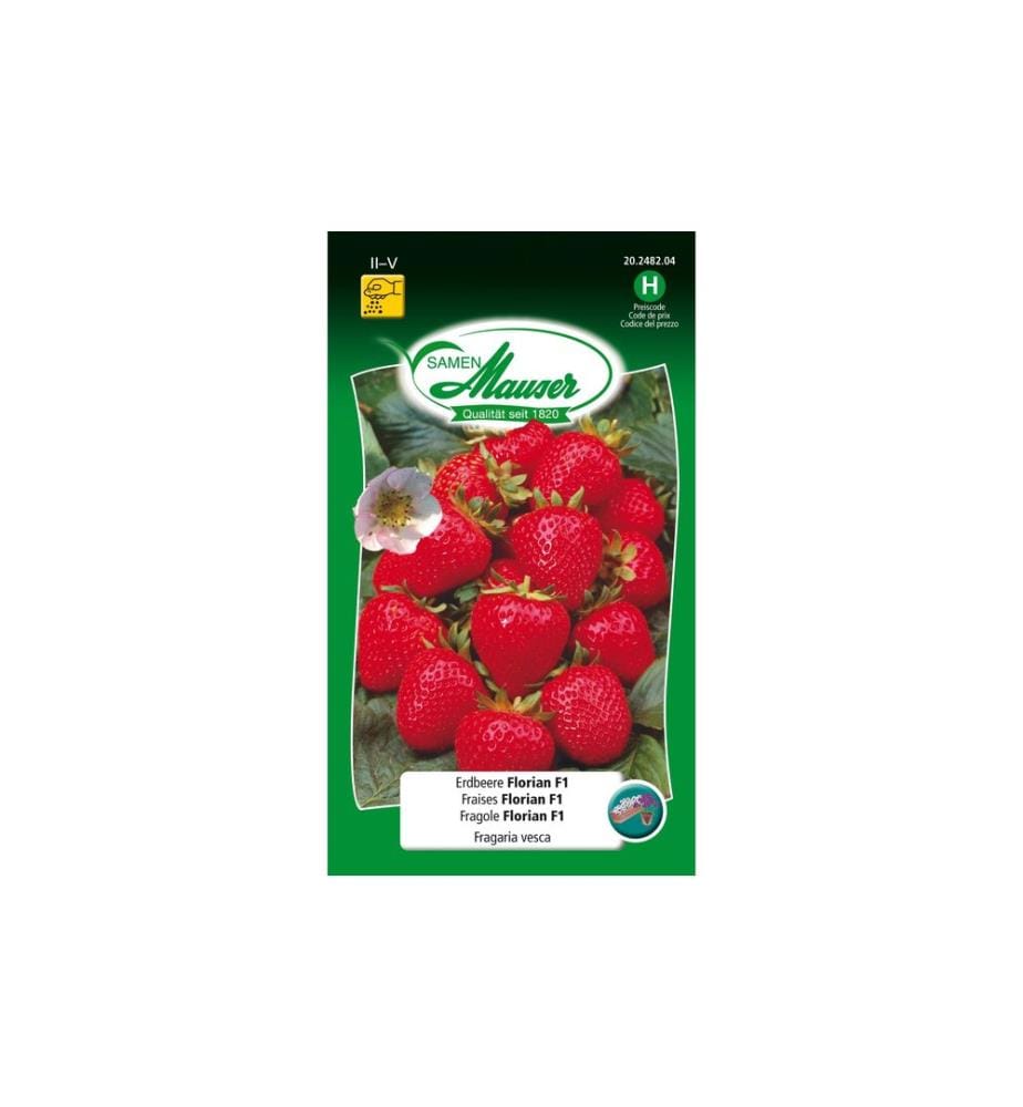 Samen Mauser - Semence Fraise Florian F1