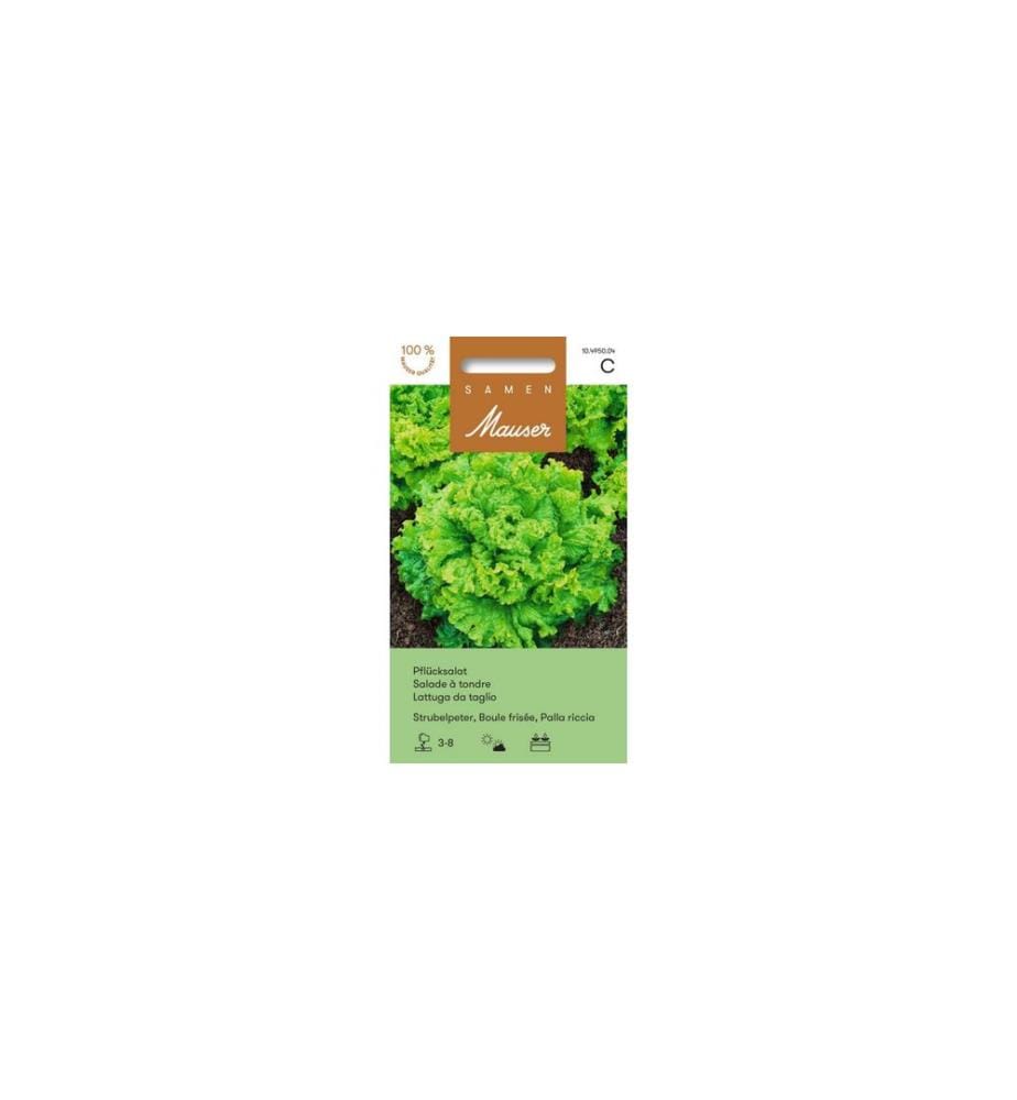 Samen Mauser - Semence Strubelpeter de salade de cornichons d'ancienne variété