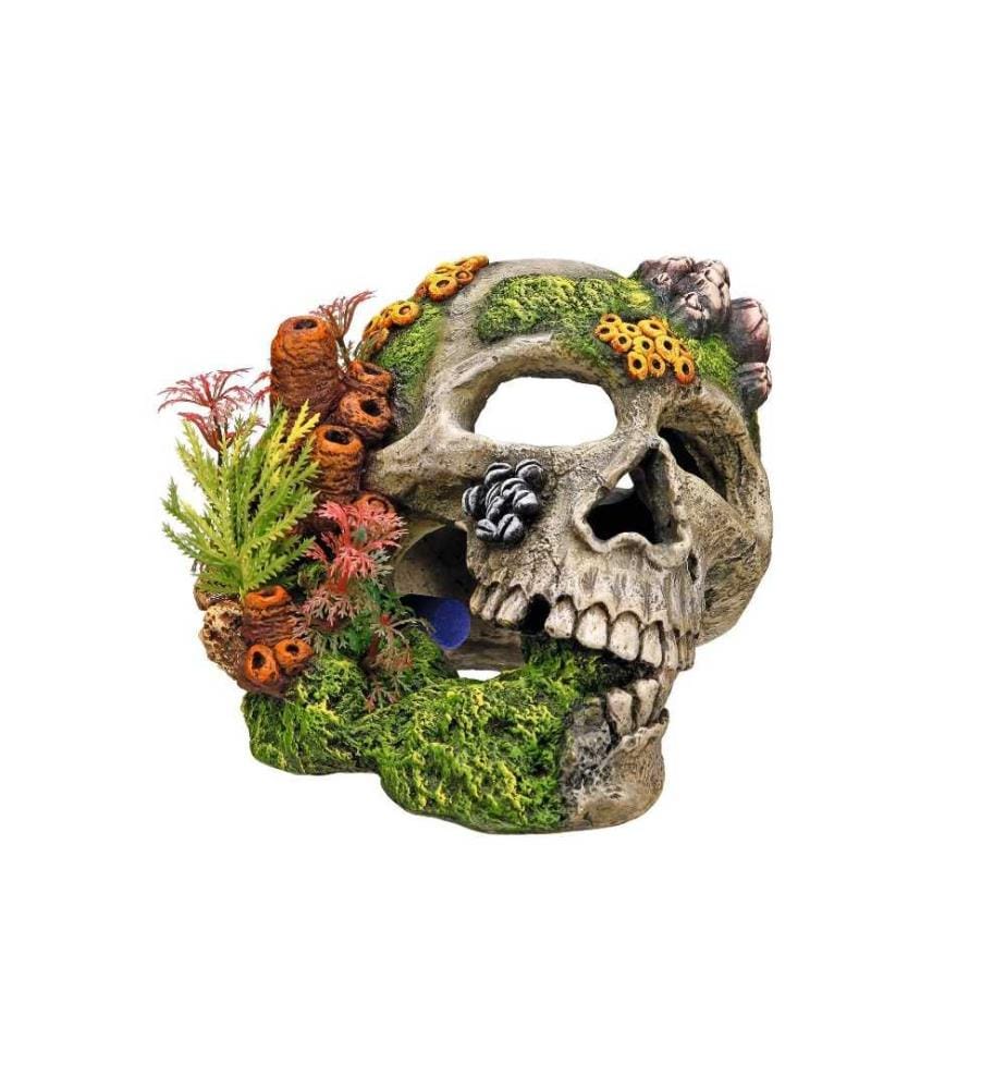 NOBBY - Aqua Ornaments Tête de mort avec plantes, 19.5 x 16 x 14 cm