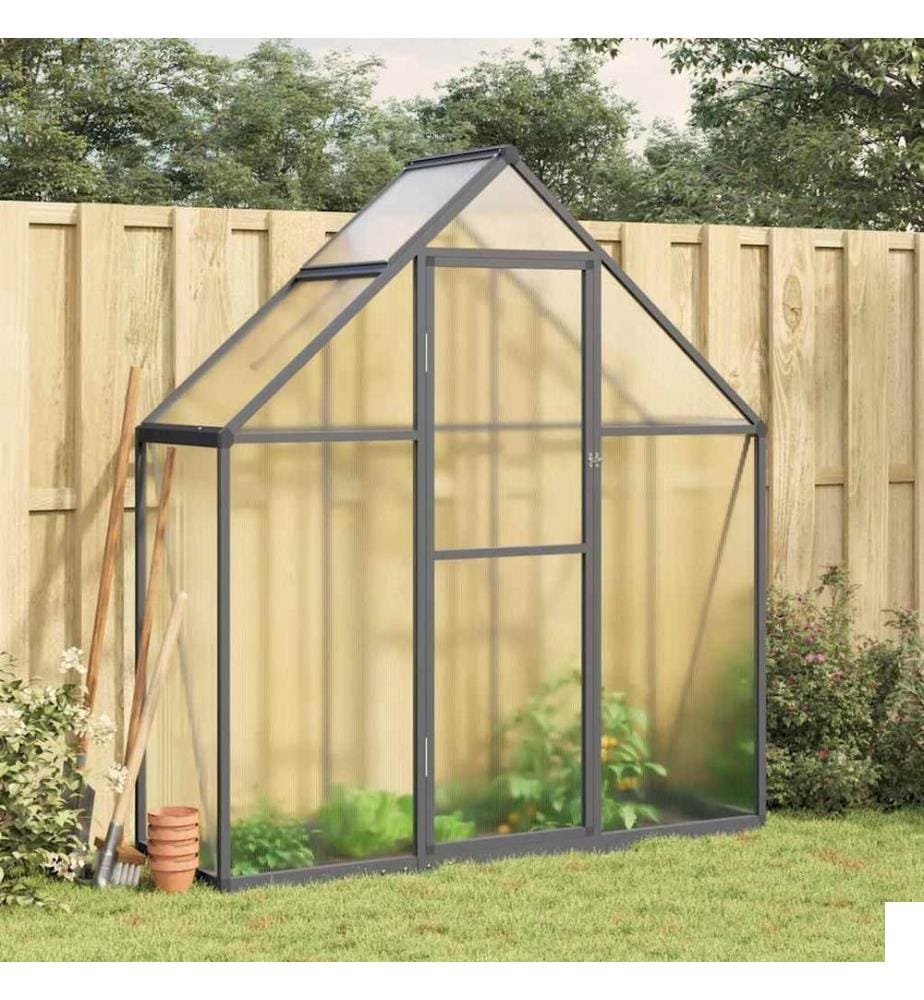 Serre avec cadre de base anthracite 169x58x195 cm aluminium
