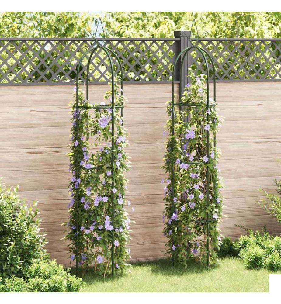 Arche de jardin en forme de tour 2 pcs