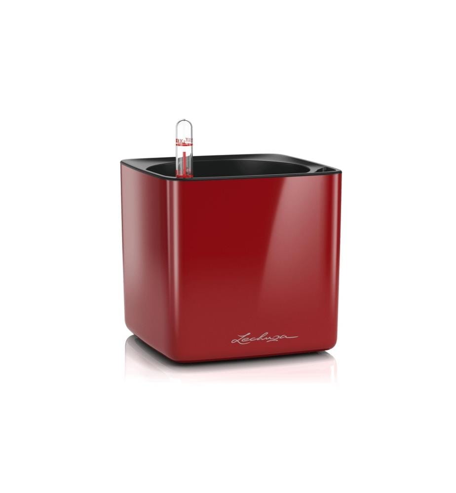 LECHUZA - Pot de fleur CUBE Glossy 14 Vin rouge