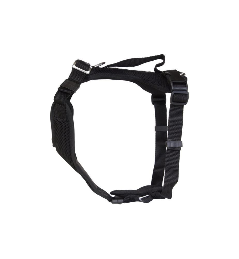 Grossenbacher harnais pour chiot Popp-it, noir