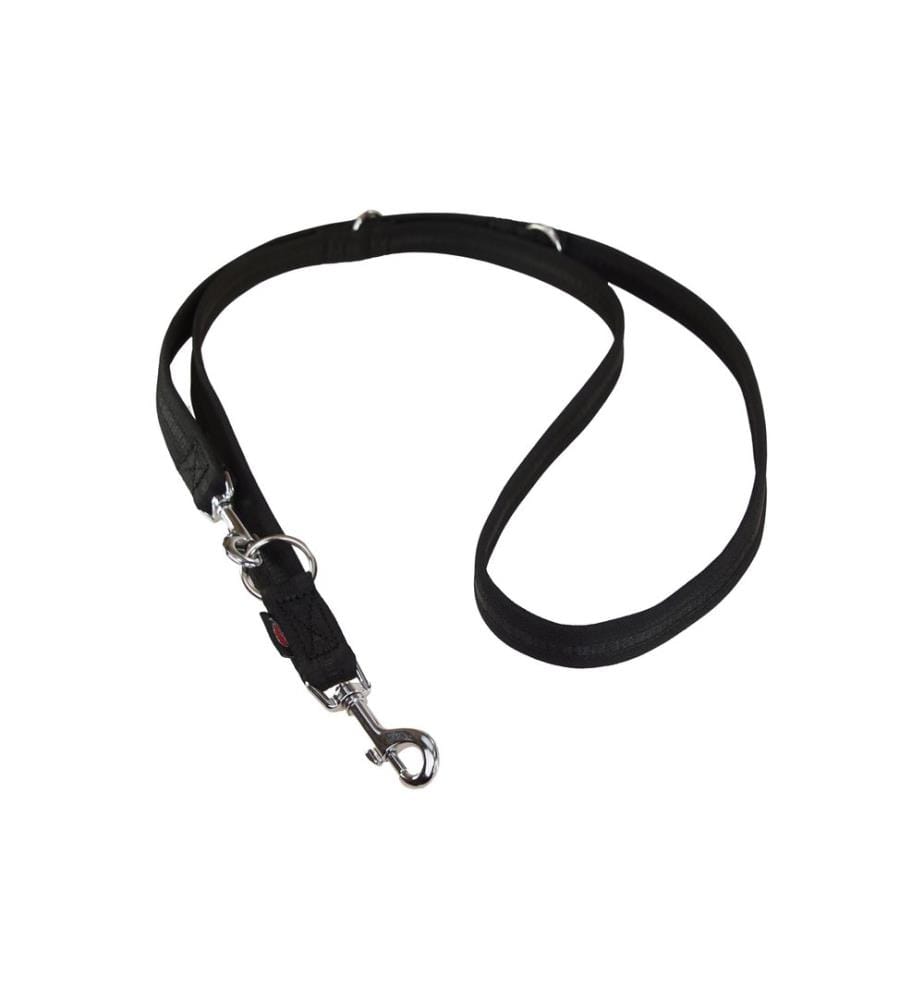 Laisse pour chien Grossenbacher 180 cm, 20 mm, Noir