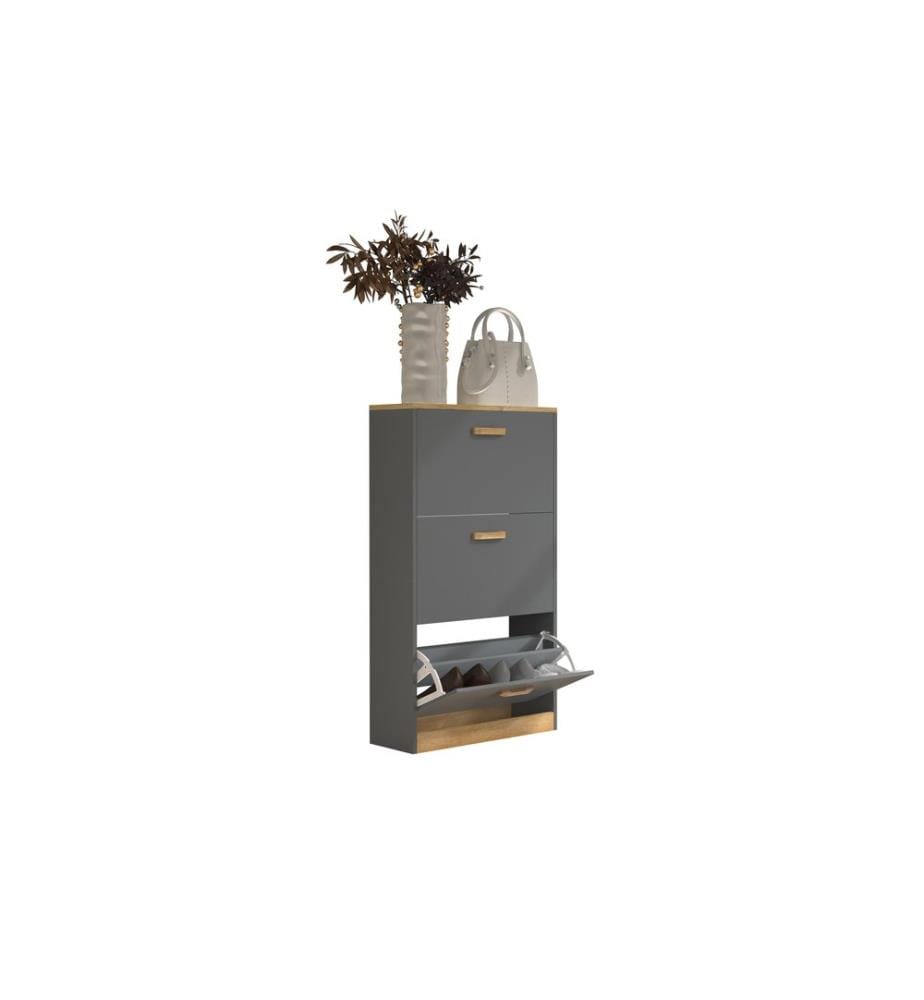 VCM Armoire à chaussures Halom M 59 x 105 cm, anthracite/chêne miel