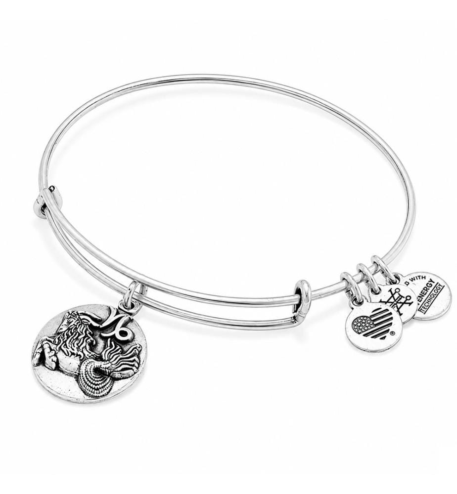 Bracelet Zodiaque Capricorne