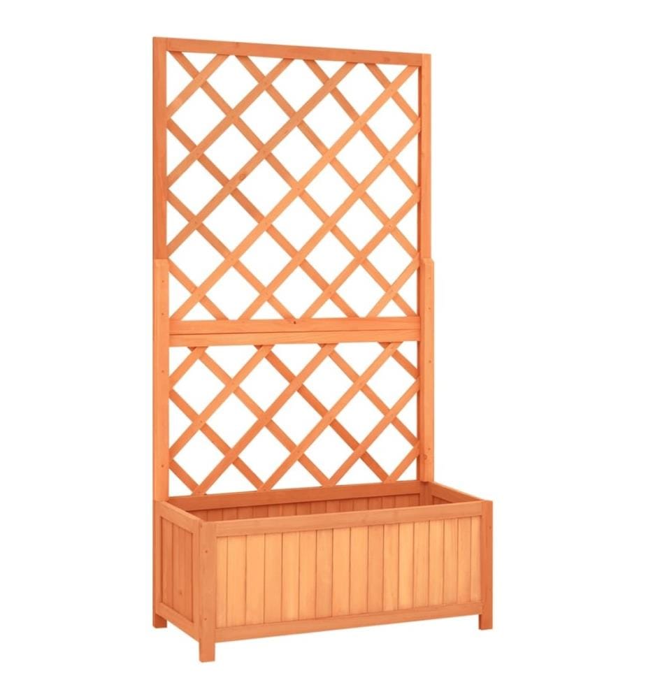 Jardinière à treillis jardin Marron 70x30x135 cm Bois de sapin