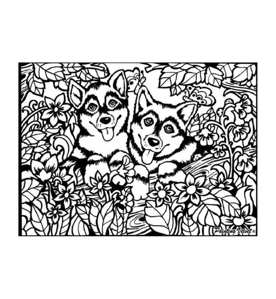 TATARUGA - Kits de peinture Huskies en velours A4