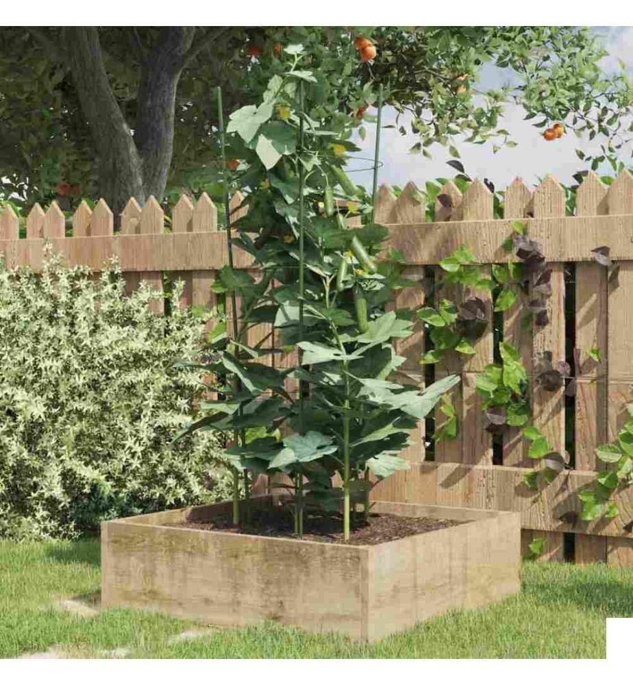 Supports pour plantes de jardin 3 anneaux 5pcs Vert 75 cm Acier