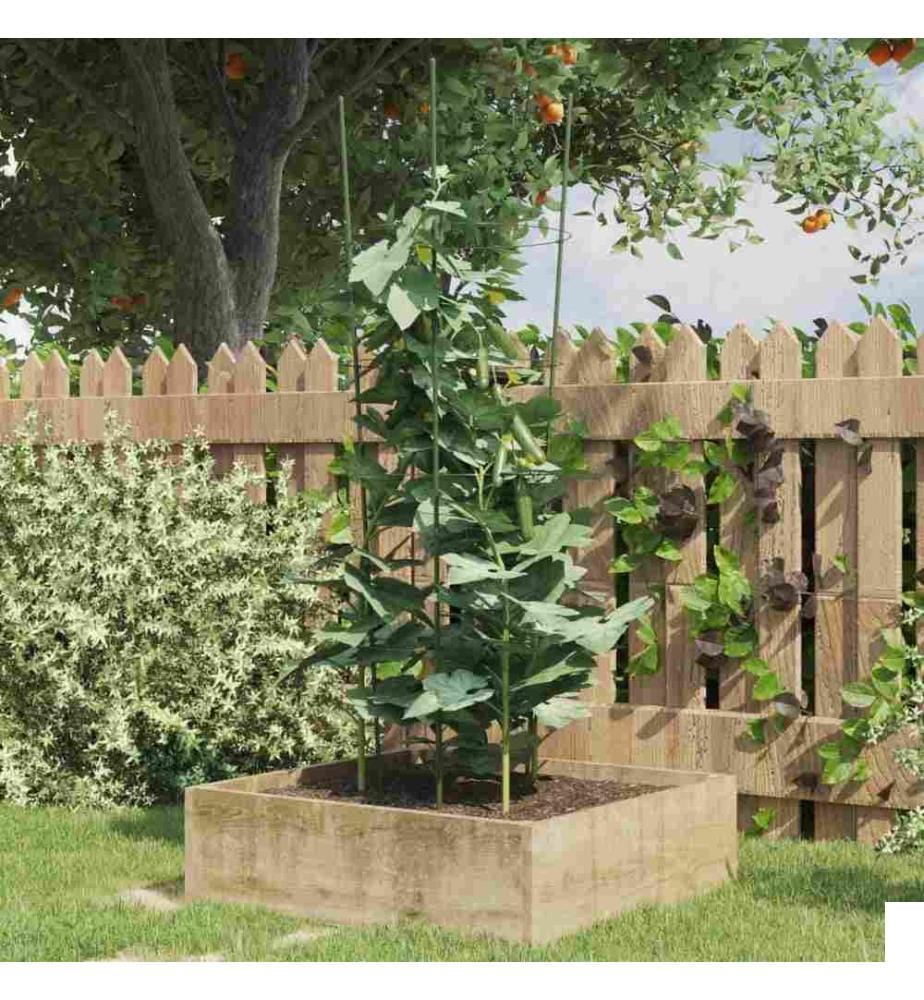 Supports pour plantes de jardin 4 anneaux 5pcs Vert 90 cm Acier