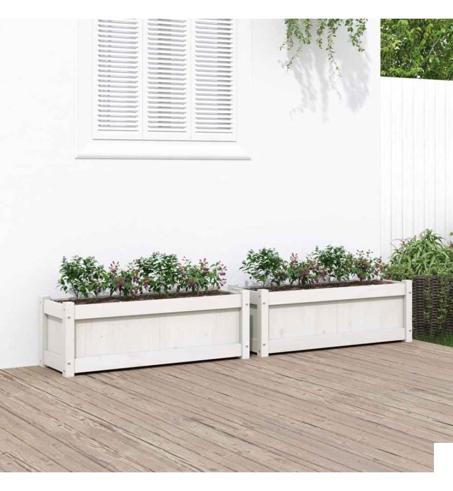 Jardinières 2 pcs blanc bois de pin massif