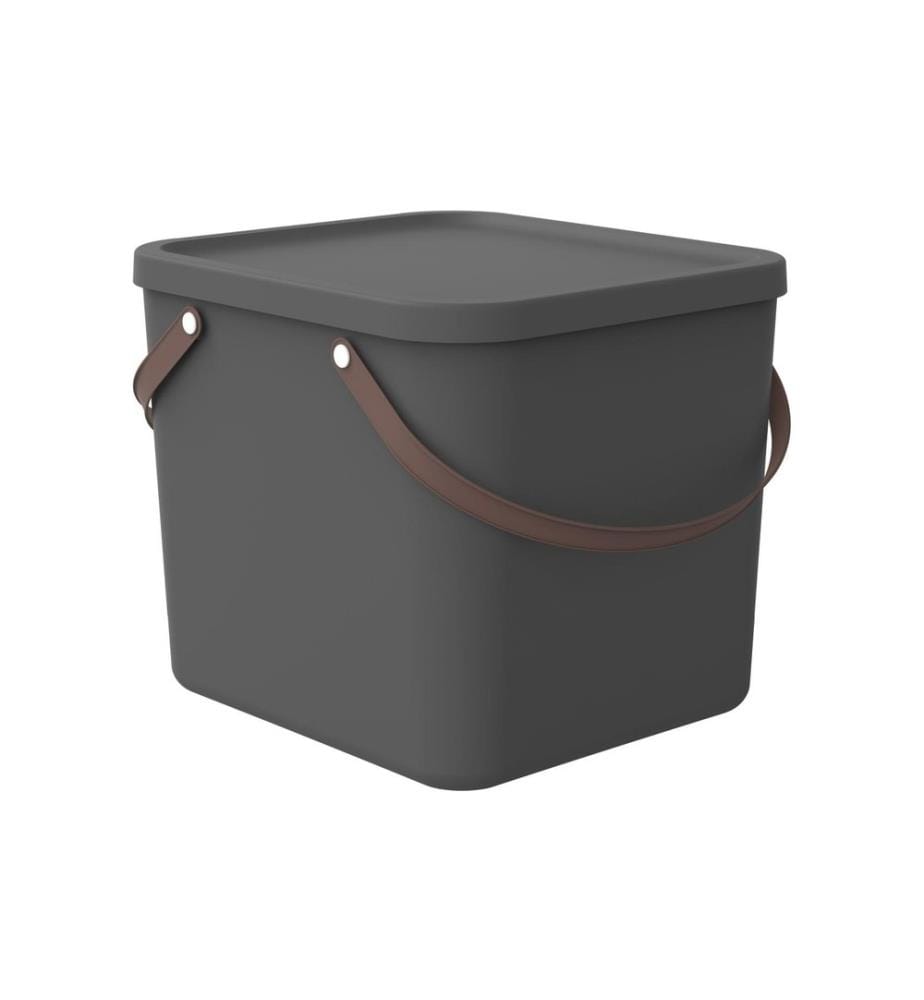 ROTHO - Boîte de rangement Albula 40 l, Anthracite