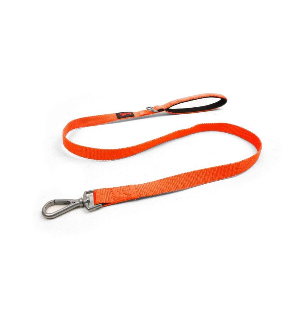 Laisse pour chien orange fluo 100 % polyester