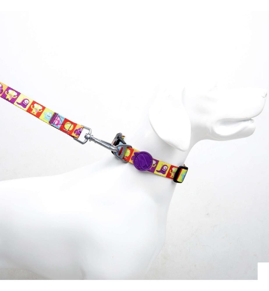 Laisse pour chien multicolore 100 % polyester