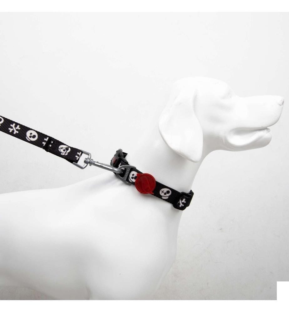 Laisse pour chien multicolore 100 % polyester