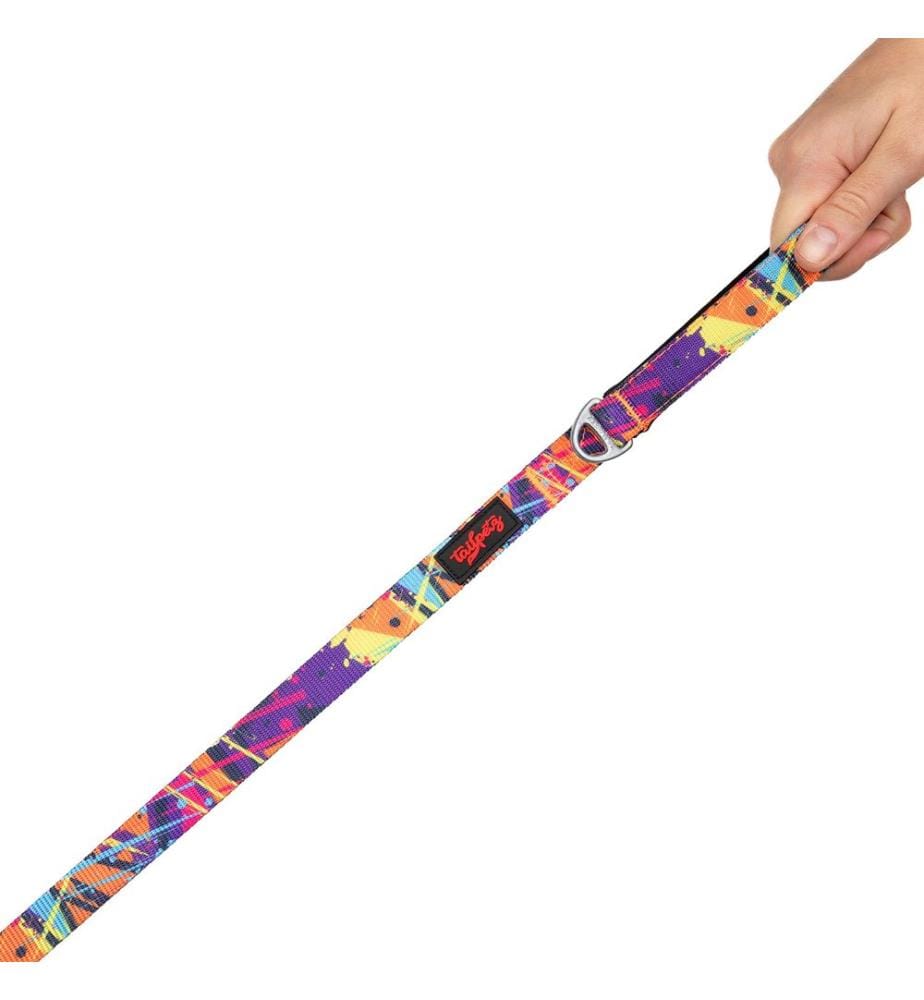 Laisse pour chien multicolore 100 % polyester