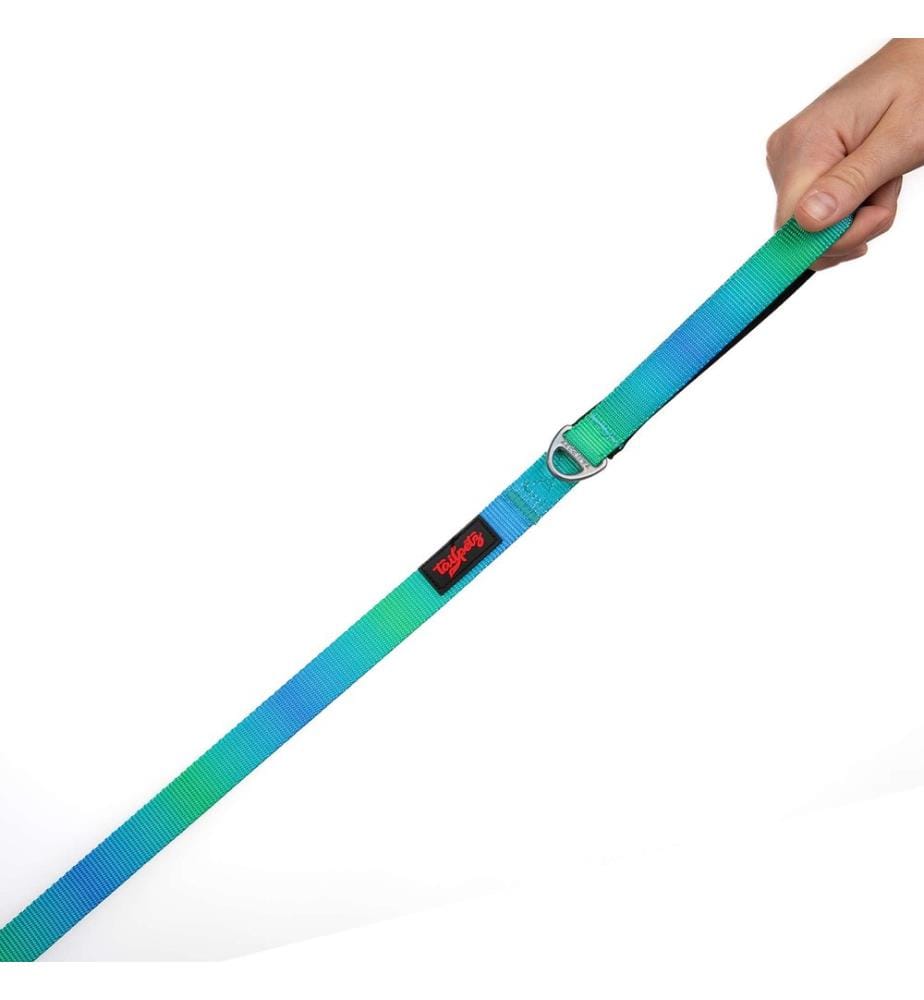 Laisse pour chien multicolore 100 % polyester