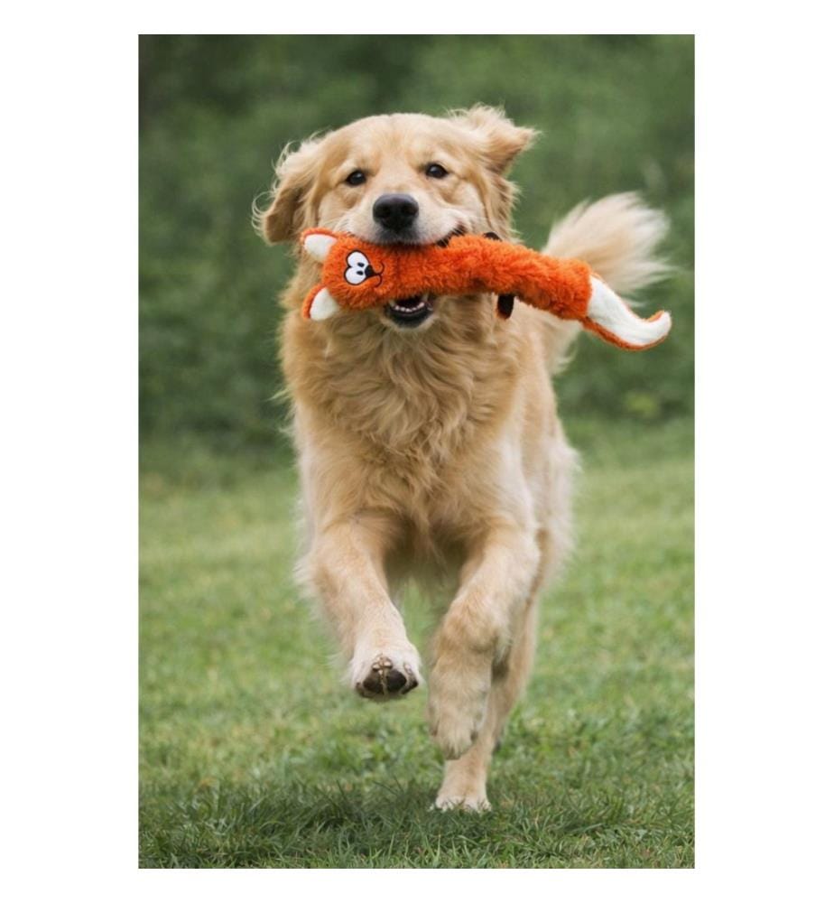 Jouet pour chien orange et blanc tissu : 100 % polyester