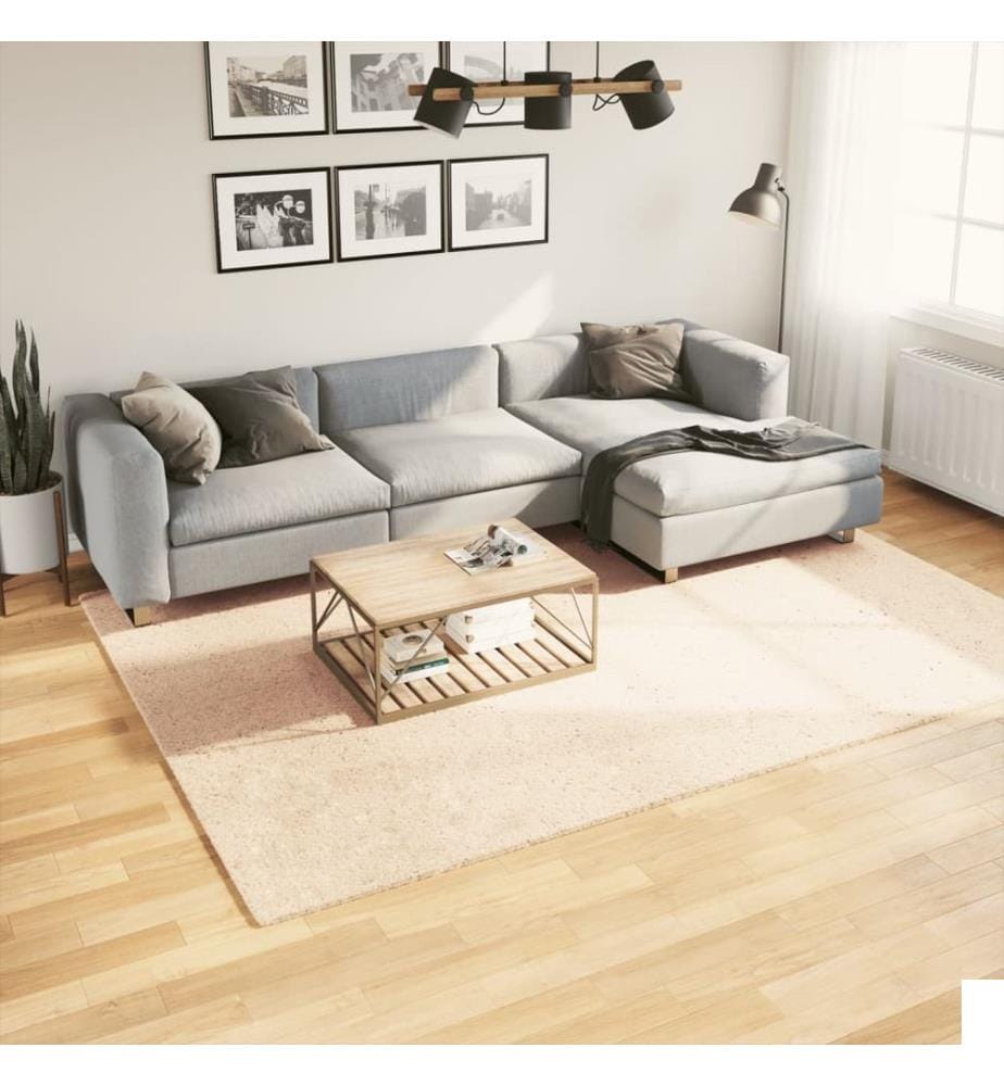 Tapis à poils courts doux et lavable beige 200x280 cm