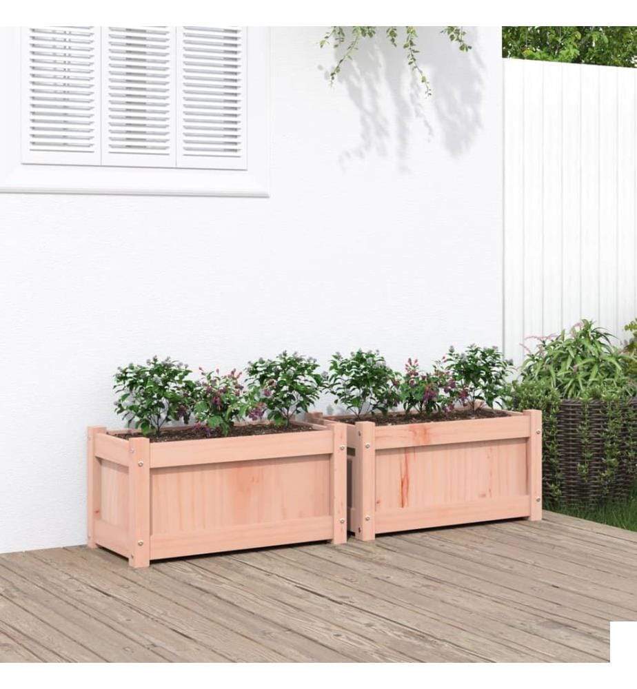 Jardinières 2 pcs bois massif douglas