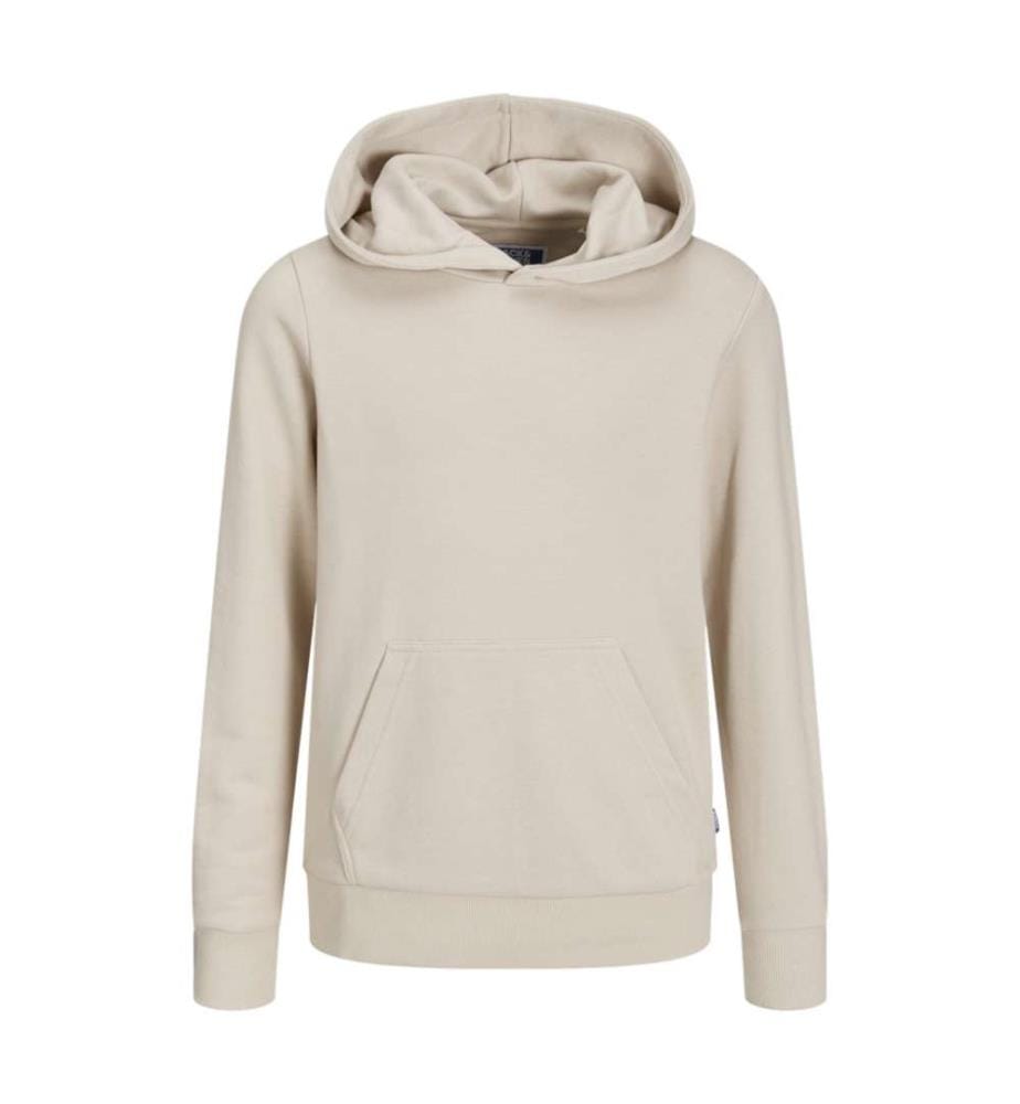 Sweatshirt - Moonbeam
