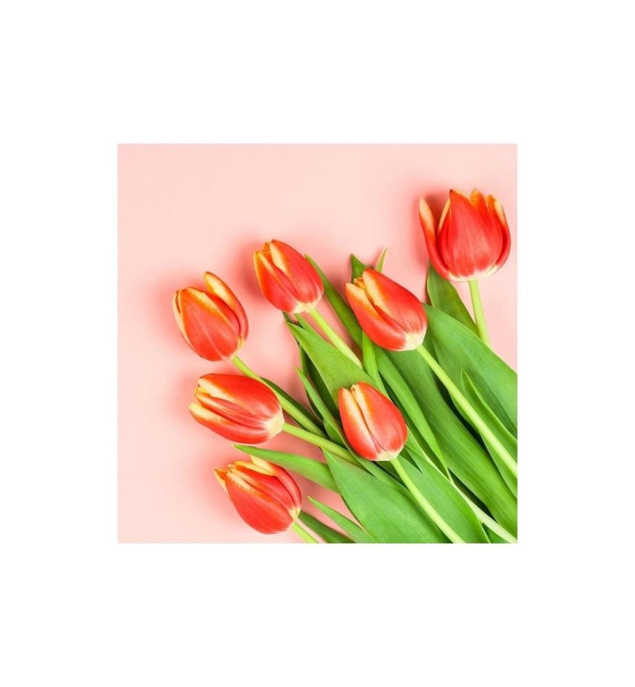 Braun + Company Serviettes en papier Modern Tulips 33 cm x 33 cm, 20 Pièce/s
