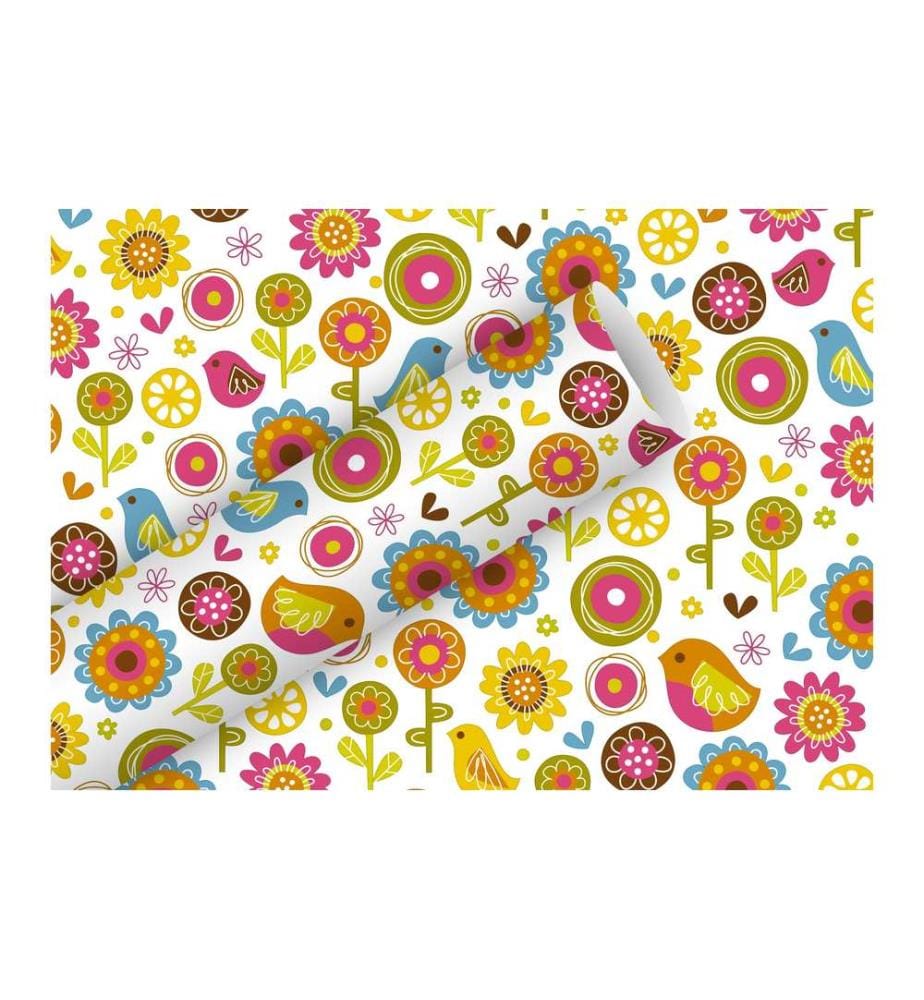 Braun + Company Papier cadeau Birdland 2 m x 70 cm, Multicolore