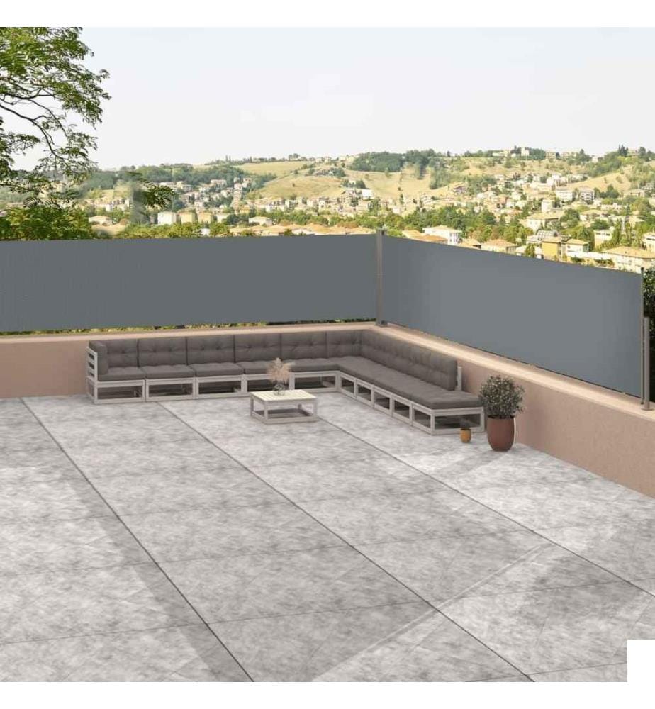 Auvent latéral rétractable Anthracite 117x1200 cm