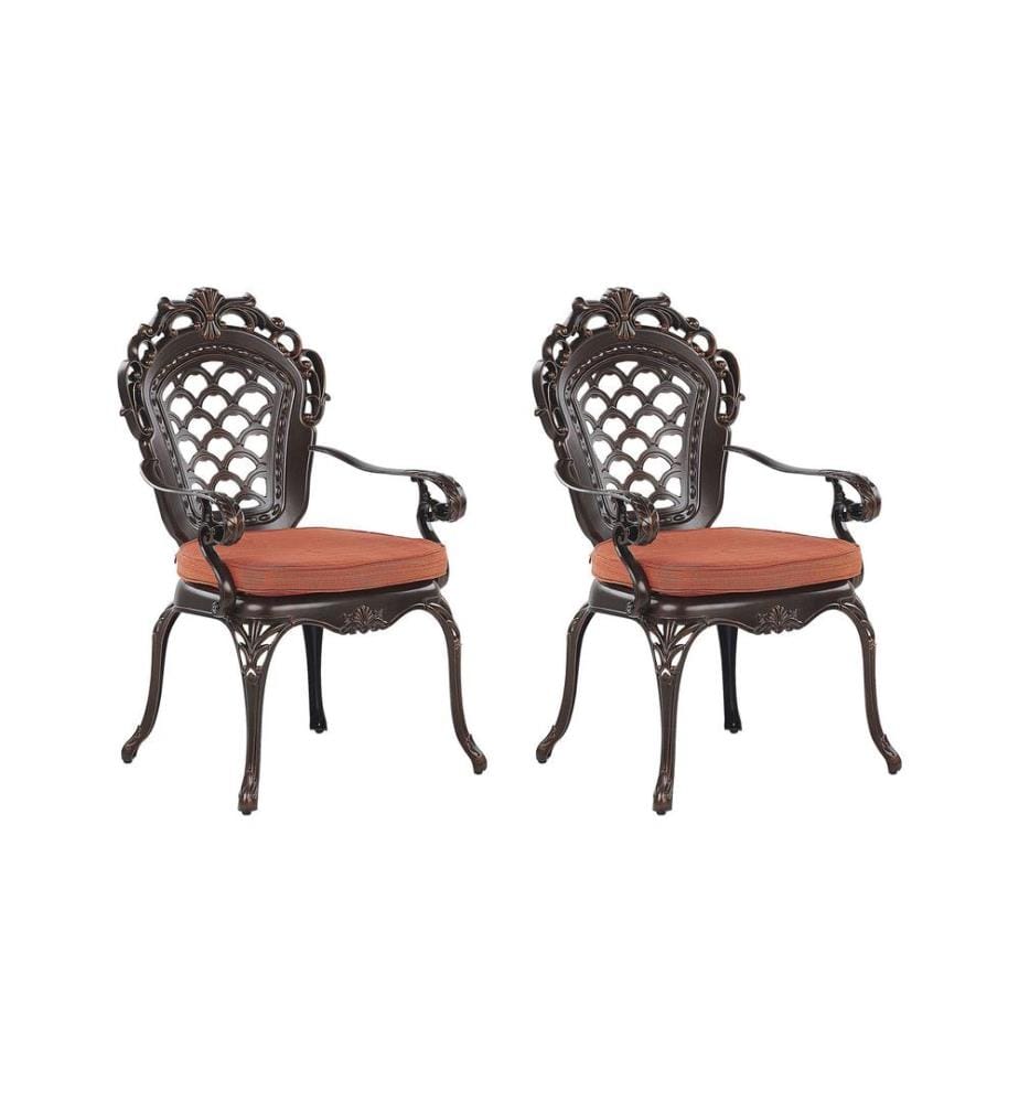 Lot de 2 chaises de jardin avec coussins LIZZANO Métal Marron foncé