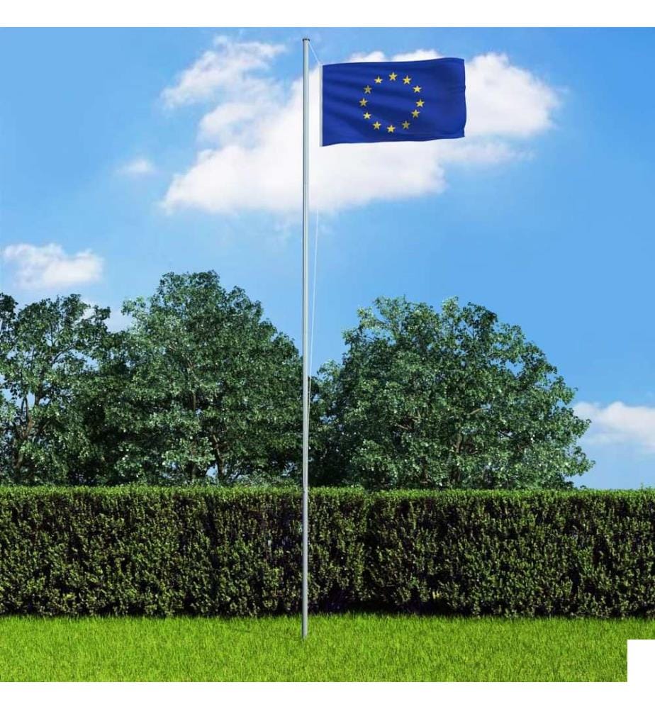 Drapeau Union Européenne 90x150 cm