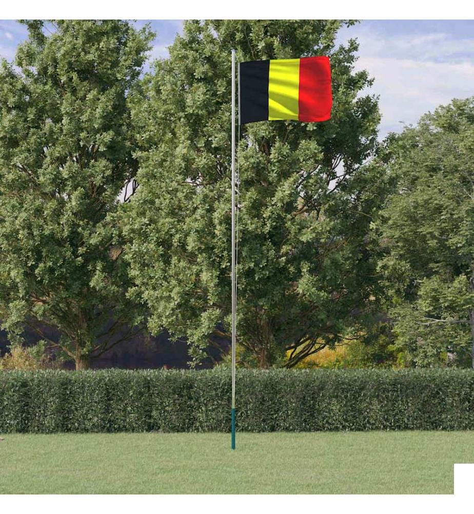 Drapeau de la Belgique et mât 6,08 m Aluminium