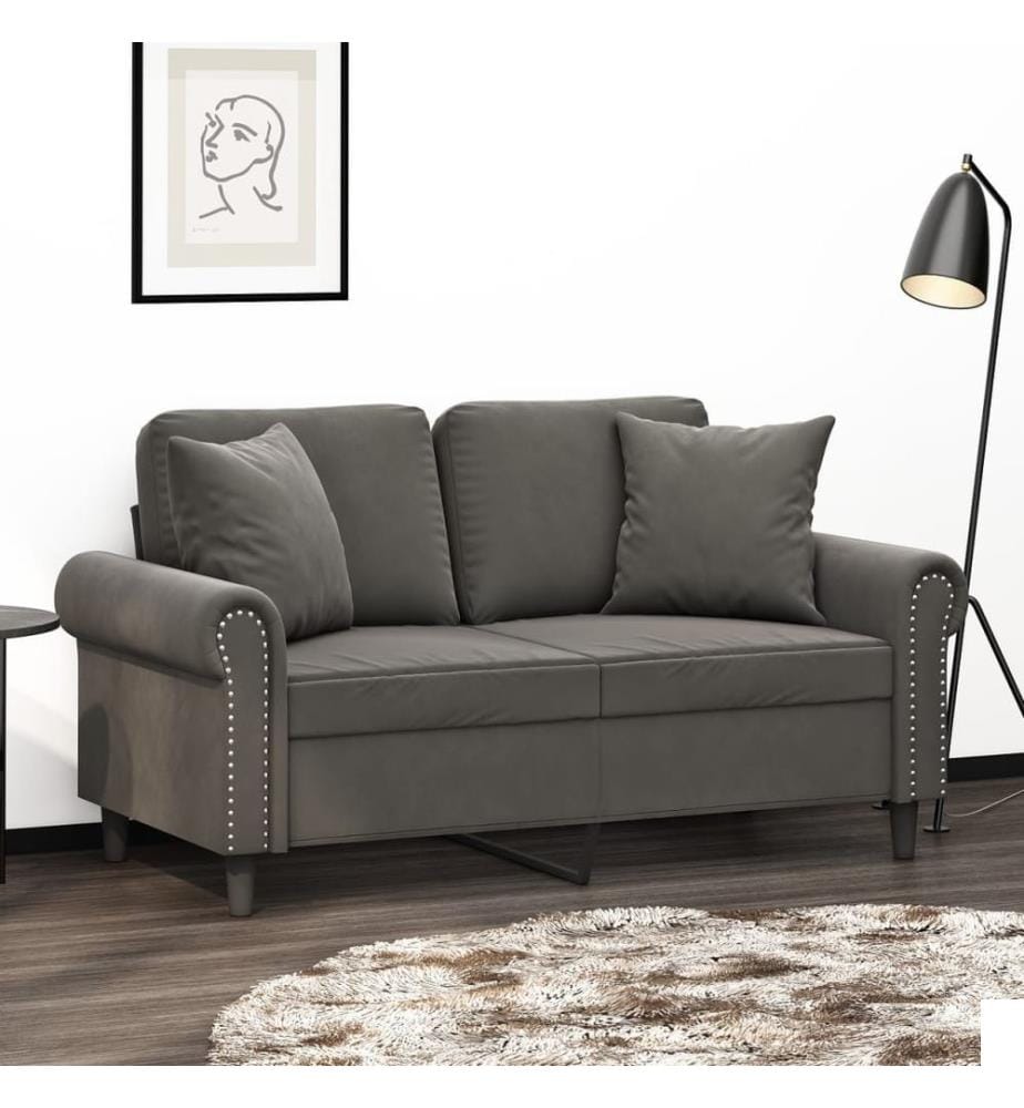 Coussins décoratifs 2 pcs Gris foncé 40x40 cm Velours