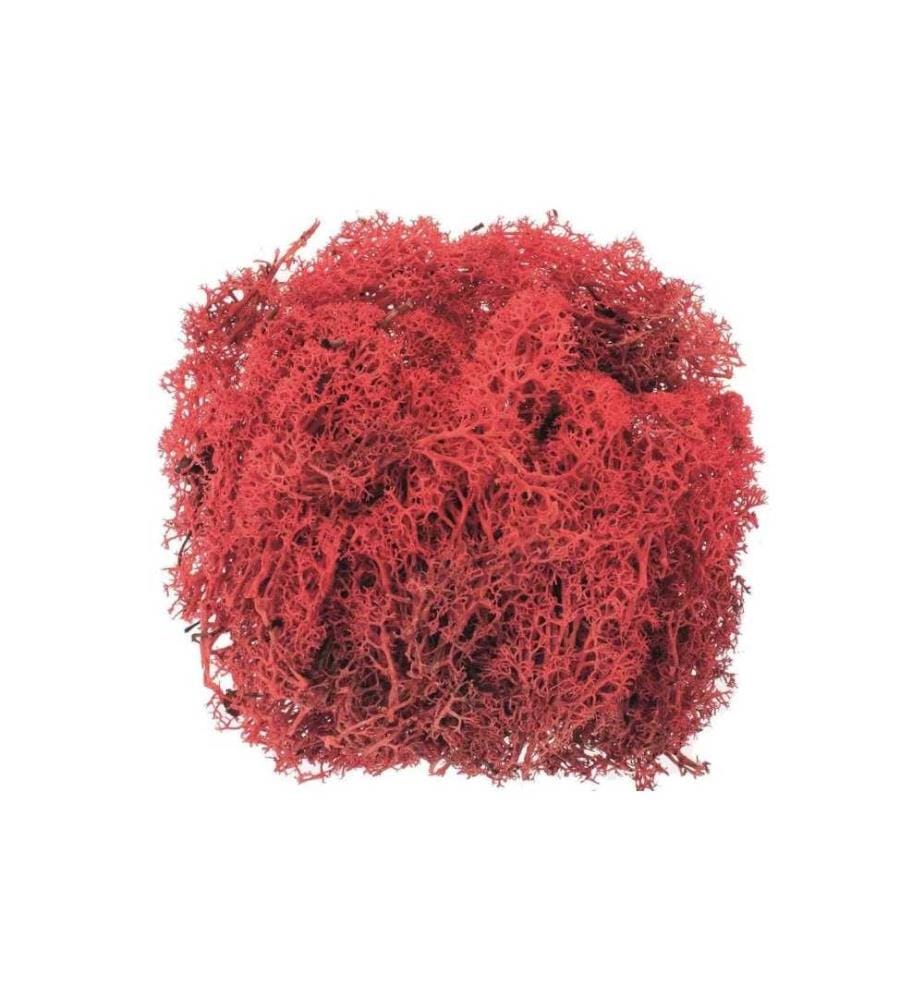 GLOREX - Mousse Island Rouge