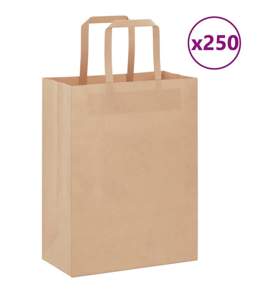 Sacs en papier 250 pcs avec poignées marron 21x11x28 cm