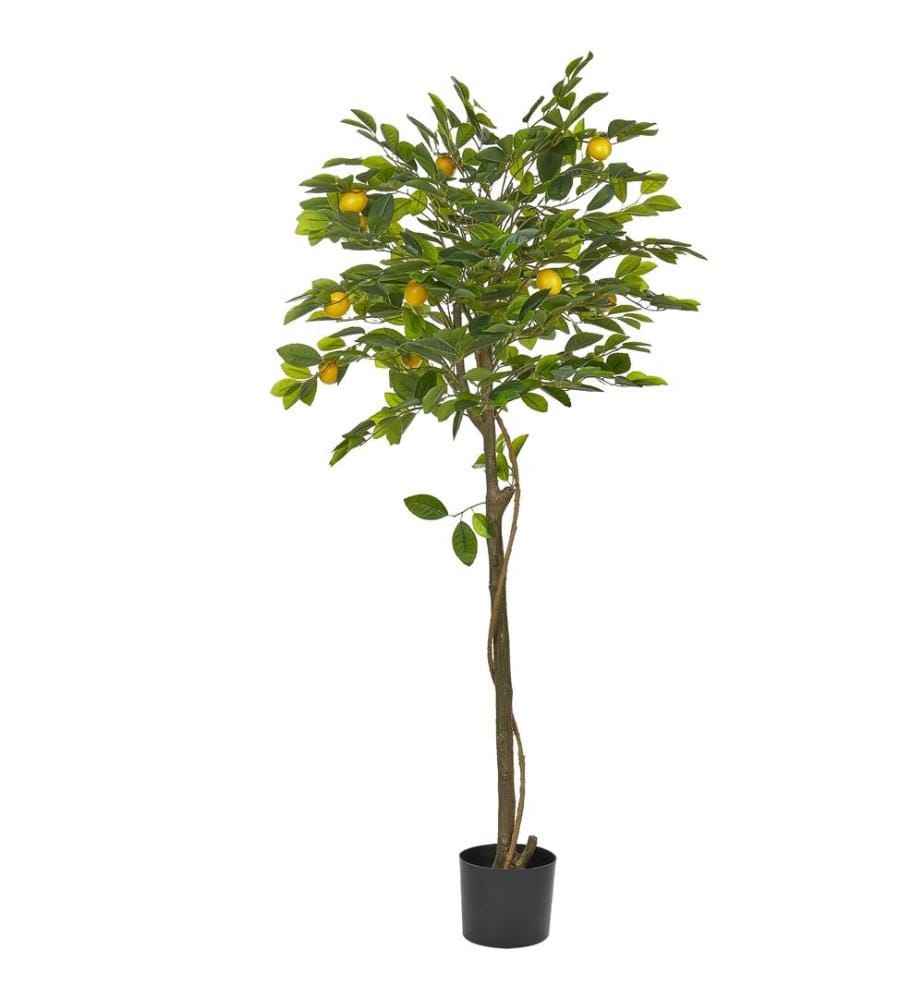 Plante artificielle LEMON TREE 156 cm Vert