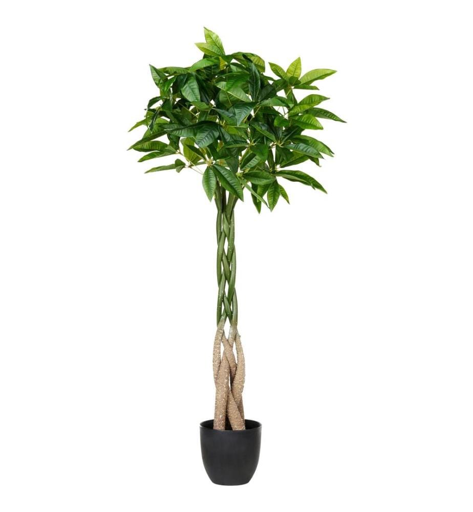 Plante artificielle PACHIRA TREE 120 cm Vert
