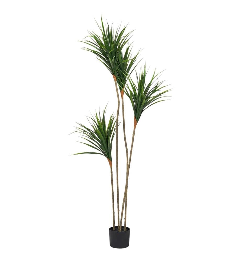 Plante artificielle DRACAENA DRACO 165 cm Vert