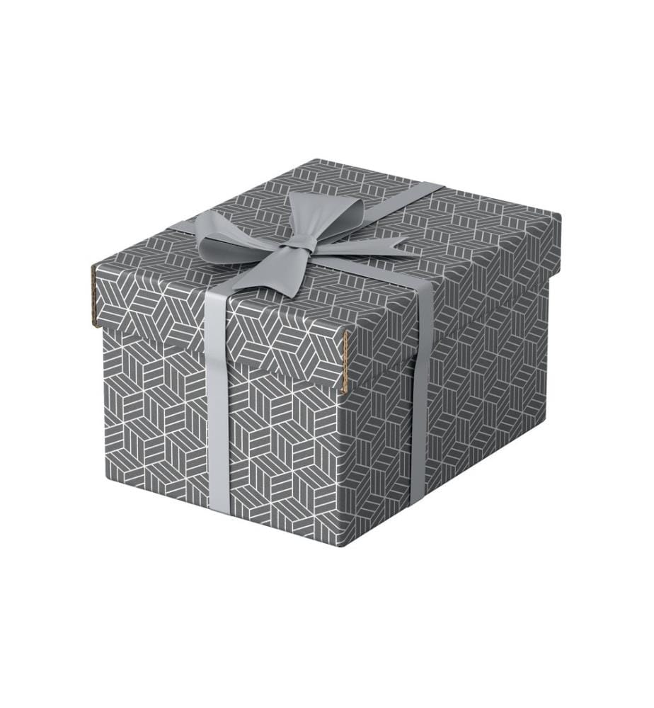 LEITZ - Boîte de rangement Esselte Home S Petit, 3 pièces, Gris