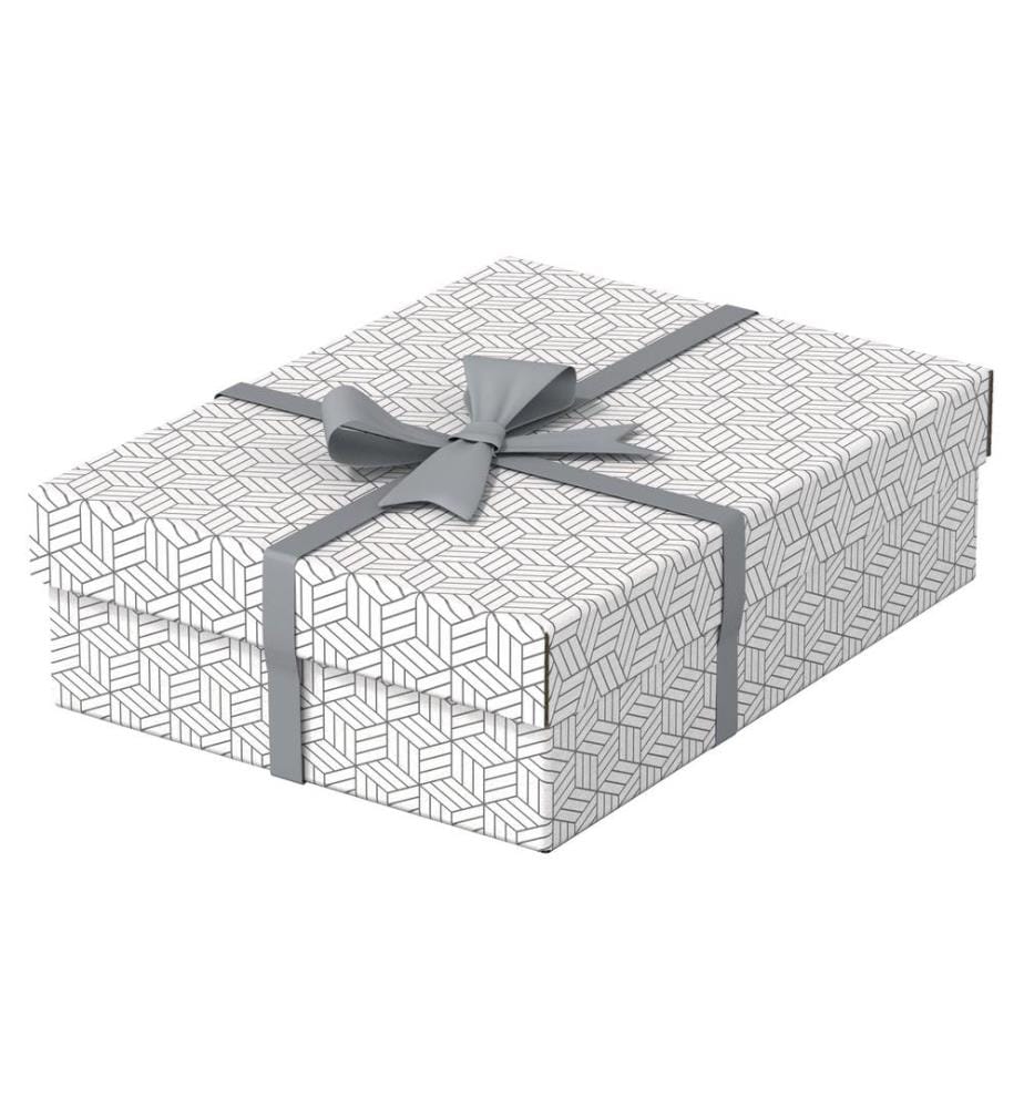 LEITZ - Boîte de rangement Esselte Home M flat Moyen, 3 pièces, Blanc