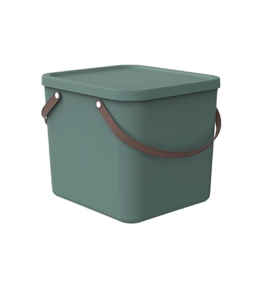 ROTHO - Boîte de rangement Albula 40 l, vert Mistletoe